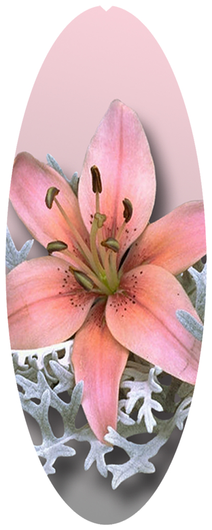 DNSA18-023 Pink Lily